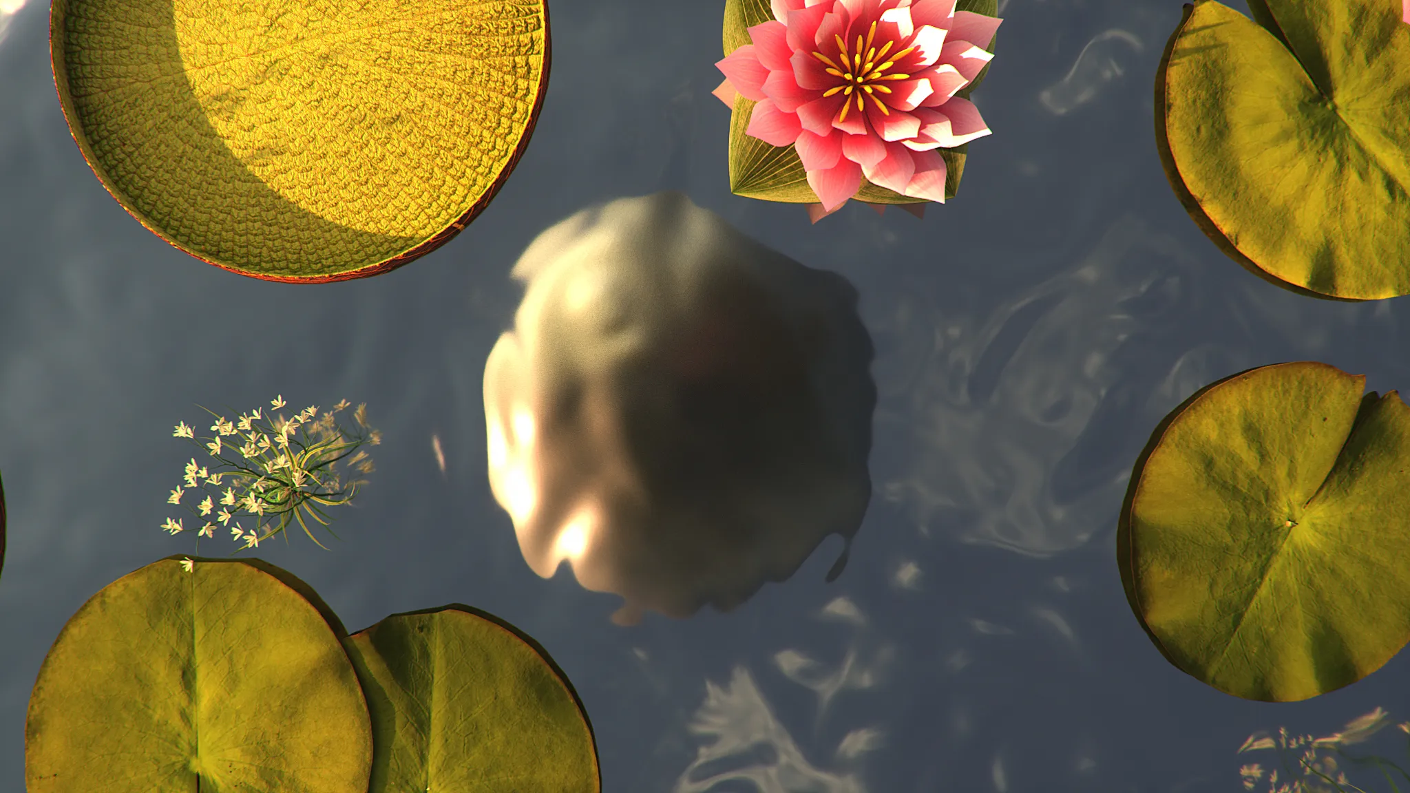 SHOT_01_R_CAM_1_v7_0009 (00000) copy